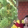 Reiお菓子大好き♫さんのプロフィール画像