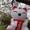 sasukeさんのプロフィール画像