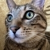 mdoさんのプロフィール画像