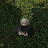 うたさんのプロフィール画像