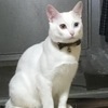 AUDIーTTさんのプロフィール画像