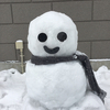 しーさんのプロフィール画像