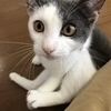 たつやさんのプロフィール画像