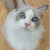 hiroさんのプロフィール画像