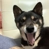 あきさんのプロフィール画像