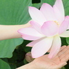cobachiさんのプロフィール画像