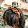なるえりさんのプロフィール画像