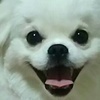 セツアさんのプロフィール画像