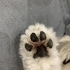 なぎさんのプロフィール画像