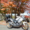 バイクマンさんのプロフィール画像