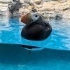 うささんのプロフィール画像