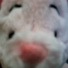 CoCoさんのプロフィール画像