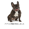 さわやんさんのプロフィール画像
