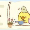 まさぼんさんのプロフィール画像