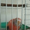ヒロさんのプロフィール画像
