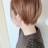 y.さんのプロフィール画像