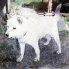 keitaさんのプロフィール画像