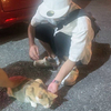 ひろきさんのプロフィール画像