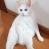 kuuさんのプロフィール画像