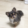 あきさんのプロフィール画像