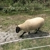 りょうさんのプロフィール画像
