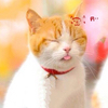 さっちゃんさんのプロフィール画像