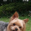 ひろさんのプロフィール画像
