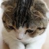 物件リサーチさんのプロフィール画像