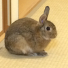 oval331さんのプロフィール画像