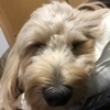 りゅうさんのプロフィール画像