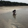 Saさんのプロフィール画像