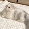 きのさんのプロフィール画像
