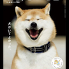 さくら☆さんのプロフィール画像
