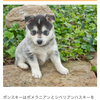 ワカナさんのプロフィール画像
