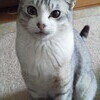 真ちゃんさんのプロフィール画像