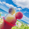 norさんのプロフィール画像