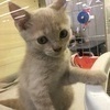 せつさんのプロフィール画像