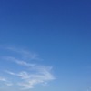 Ｎ.さんのプロフィール画像