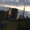 サトさんのプロフィール画像