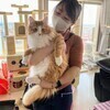 Inaさんのプロフィール画像