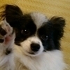 roohさんのプロフィール画像