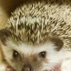 たけちゃんさんのプロフィール画像