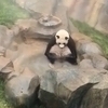 ぽんさんのプロフィール画像