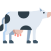 カウカウさんのプロフィール画像