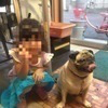 ごうさんのプロフィール画像