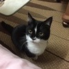 ちわちわさんのプロフィール画像