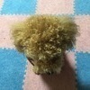 ひでさんのプロフィール画像