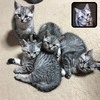ミバロさんのプロフィール画像