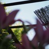 雨空さんのプロフィール画像