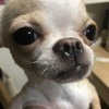 Takanori さんのプロフィール画像